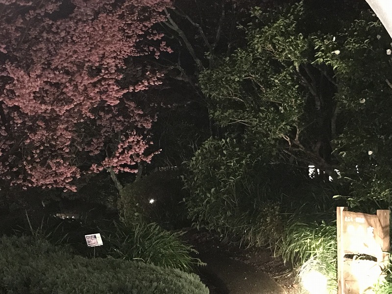 f:id:mistysonata:20190308053005j:plain f:id:mistysonata:20190308053005j:plain