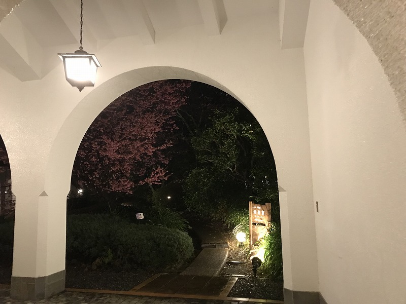 f:id:mistysonata:20190308053104j:plain f:id:mistysonata:20190308053104j:plain