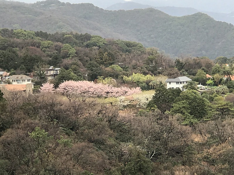 f:id:mistysonata:20190308055006j:plain f:id:mistysonata:20190308055006j:plain