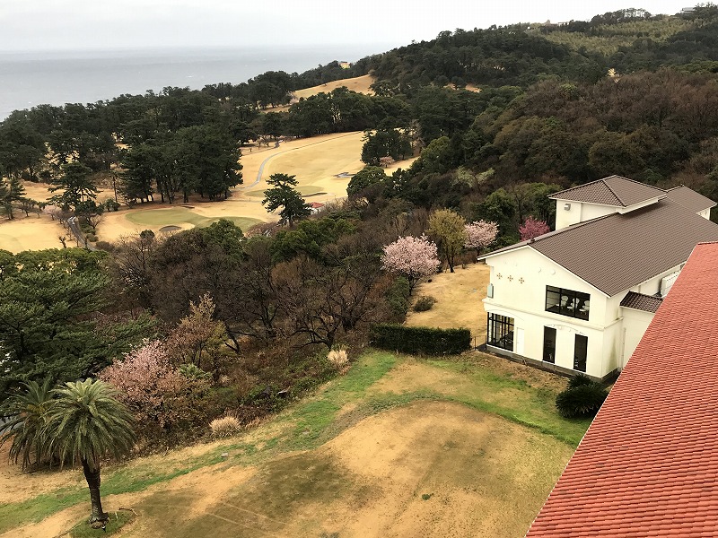 f:id:mistysonata:20190308055105j:plain f:id:mistysonata:20190308055105j:plain