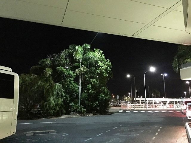 f:id:mistysonata:20190310185744j:plain f:id:mistysonata:20190310185744j:plain