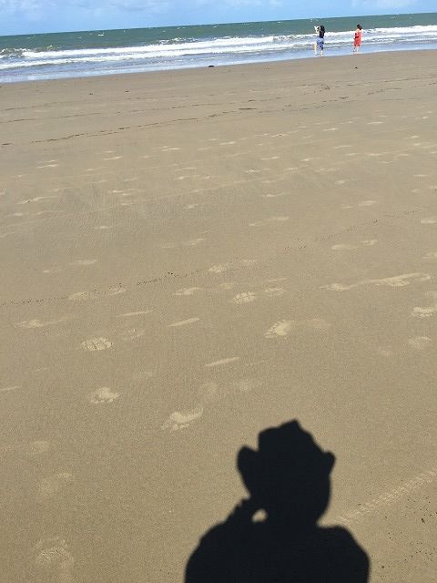 f:id:mistysonata:20190311054259j:plain