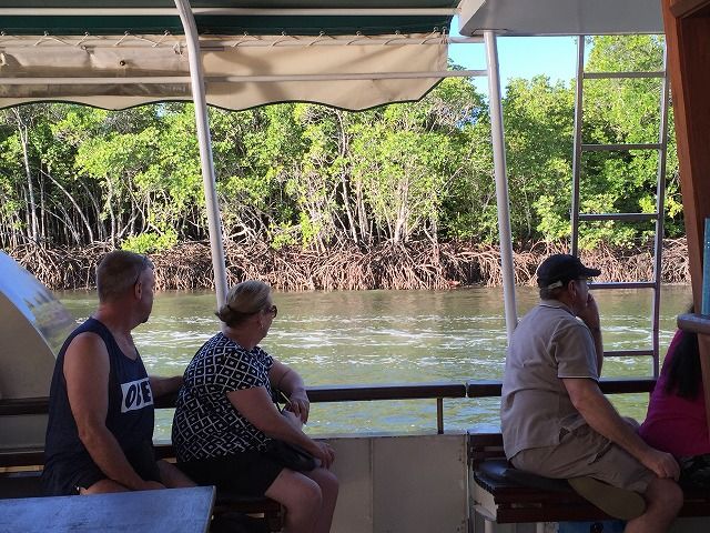 f:id:mistysonata:20190311054358j:plain