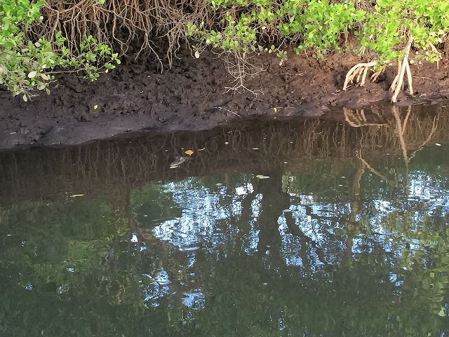 f:id:mistysonata:20190311054503j:plain