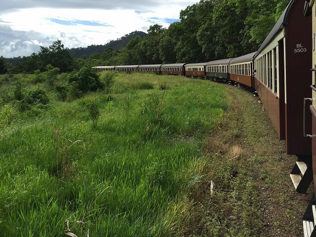 f:id:mistysonata:20190314054441j:plain f:id:mistysonata:20190314054441j:plain