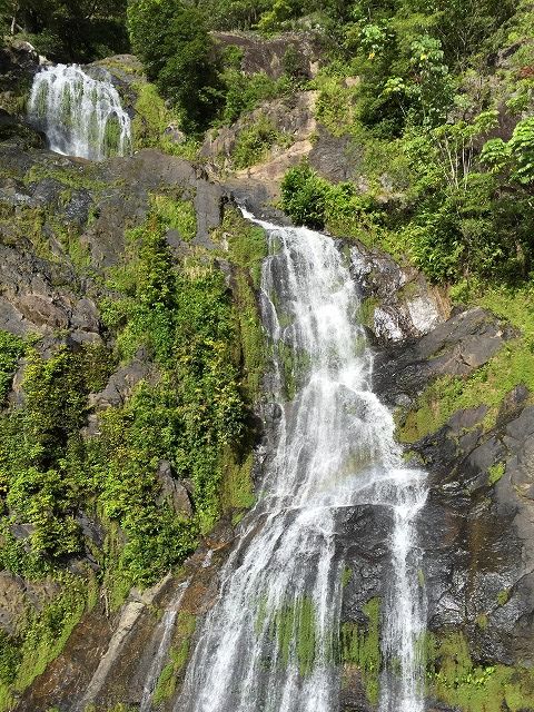 f:id:mistysonata:20190314054505j:plain f:id:mistysonata:20190314054505j:plain