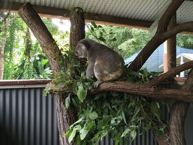 f:id:mistysonata:20190314055114j:plain f:id:mistysonata:20190314055114j:plain