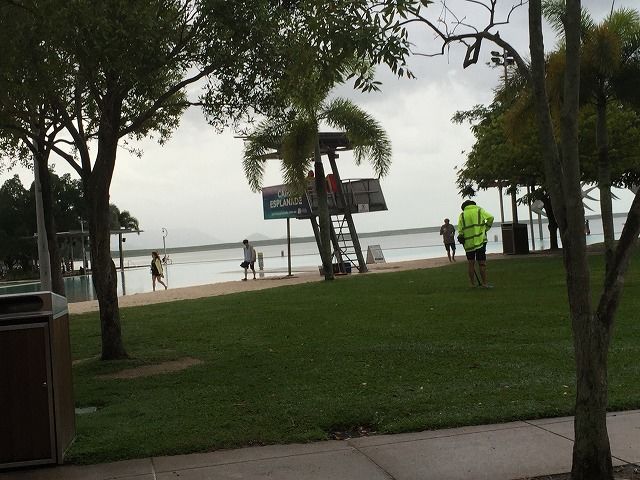 f:id:mistysonata:20190314201055j:plain