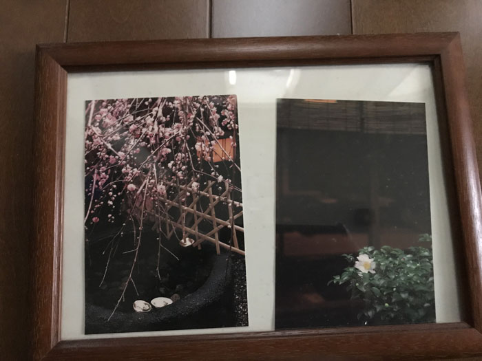 f:id:mistysonata:20190321082123j:plain f:id:mistysonata:20190321082123j:plain