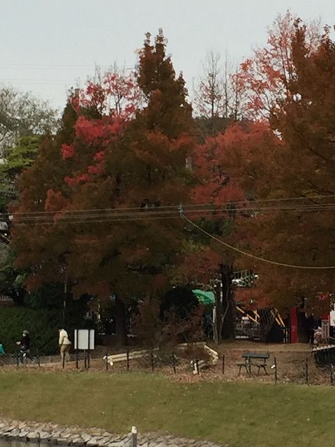 f:id:mistysonata:20190322054847j:plain f:id:mistysonata:20190322054847j:plain