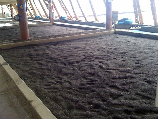 f:id:mistysonata:20190323130249j:plain