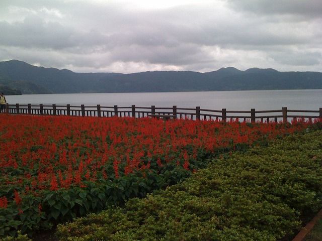 f:id:mistysonata:20190323130605j:plain