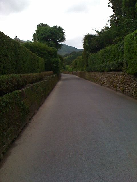 f:id:mistysonata:20190323130810j:plain