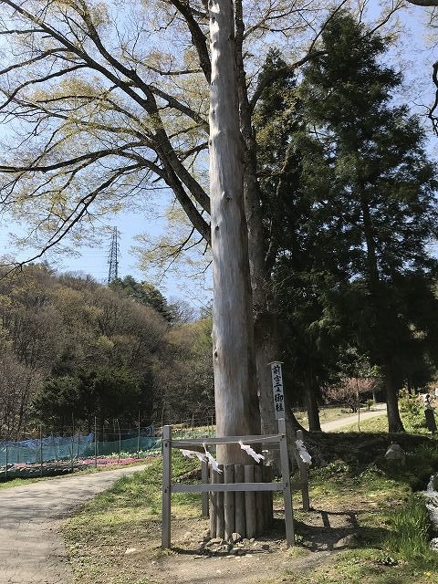 f:id:mistysonata:20190413183939j:plain