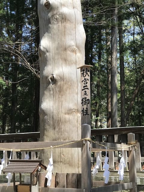 f:id:mistysonata:20190413184057j:plain