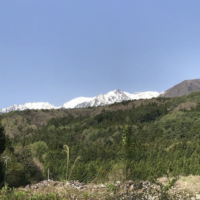 f:id:mistysonata:20190413184724j:plain