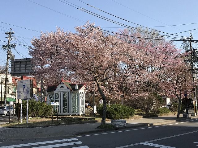 f:id:mistysonata:20190413185340j:plain