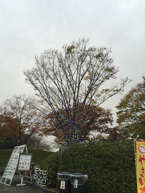 f:id:mistysonata:20190425054250j:plain f:id:mistysonata:20190425054250j:plain