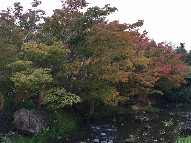 f:id:mistysonata:20190425054314j:plain f:id:mistysonata:20190425054314j:plain