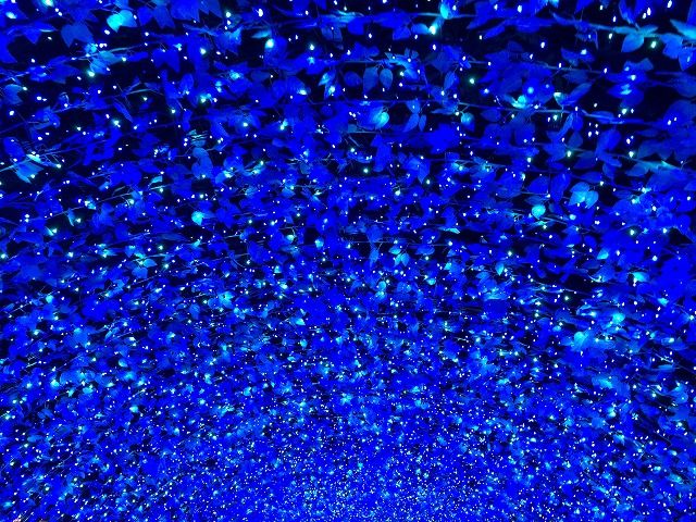 f:id:mistysonata:20190425054658j:plain f:id:mistysonata:20190425054658j:plain