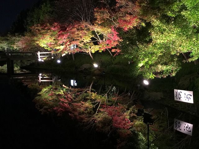 f:id:mistysonata:20190425054740j:plain f:id:mistysonata:20190425054740j:plain