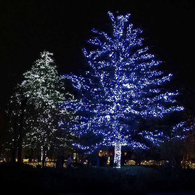 f:id:mistysonata:20190425054754j:plain f:id:mistysonata:20190425054754j:plain