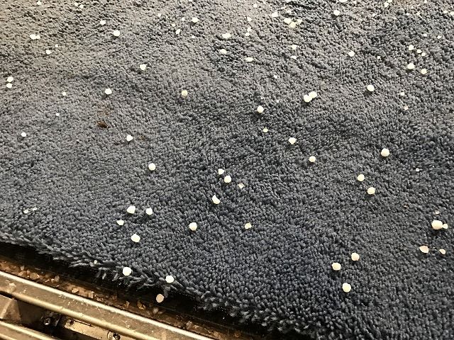 f:id:mistysonata:20190427190738j:plain