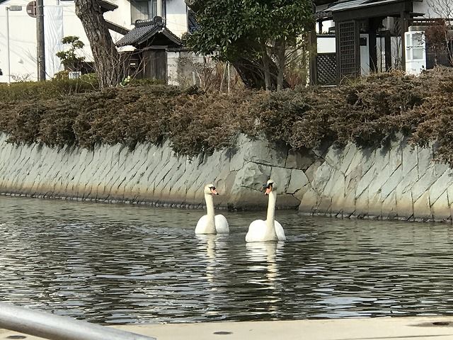 f:id:mistysonata:20190427191718j:plain