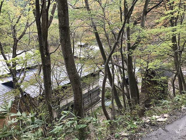 f:id:mistysonata:20190428165138j:plain