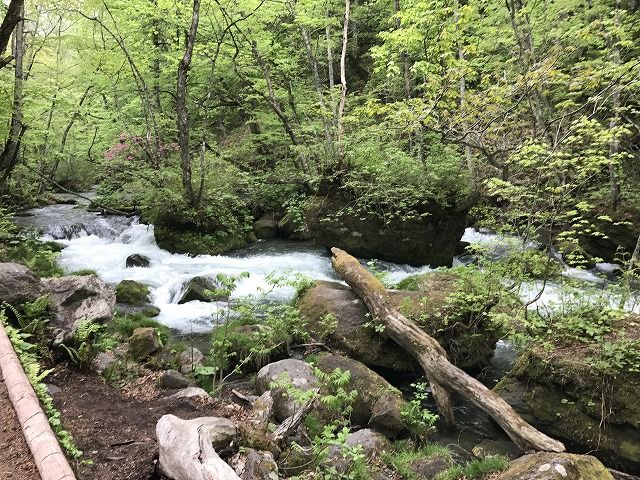 f:id:mistysonata:20190428170943j:plain