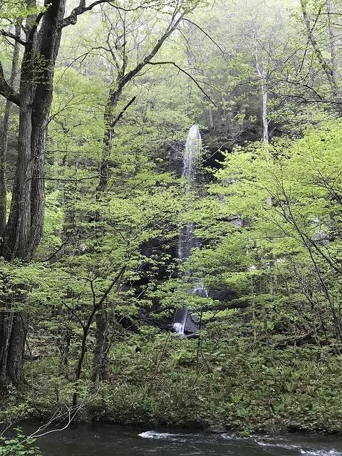 f:id:mistysonata:20190428171021j:plain