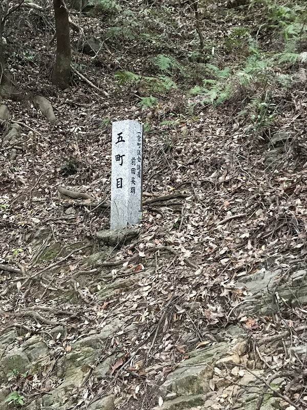 f:id:mistysonata:20190430070040j:plain f:id:mistysonata:20190430070040j:plain