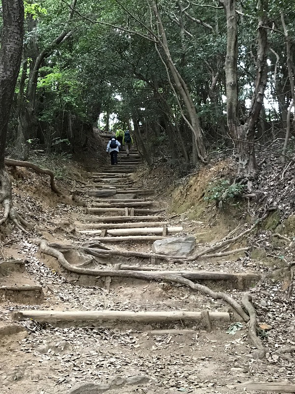 f:id:mistysonata:20190430070214j:plain f:id:mistysonata:20190430070214j:plain