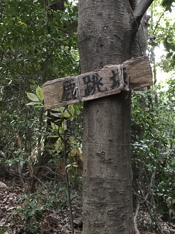 f:id:mistysonata:20190430070300j:plain f:id:mistysonata:20190430070300j:plain