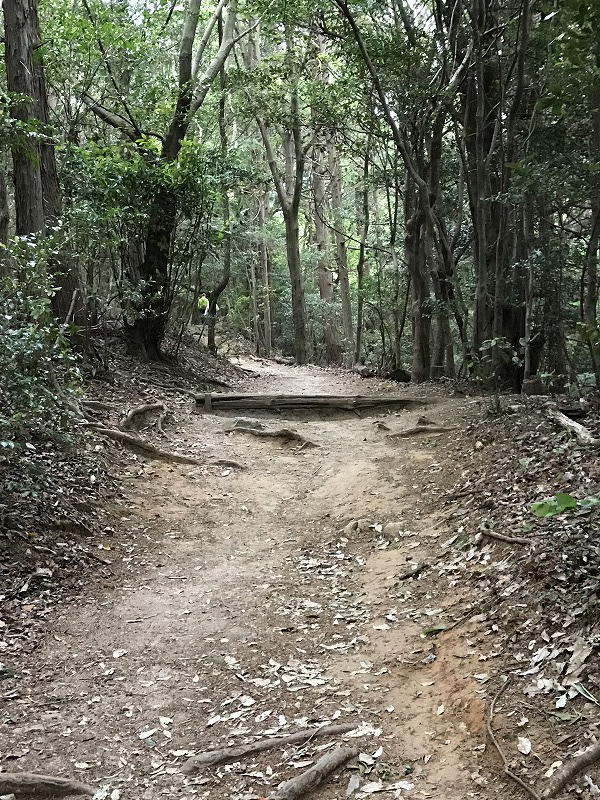 f:id:mistysonata:20190430070355j:plain f:id:mistysonata:20190430070355j:plain