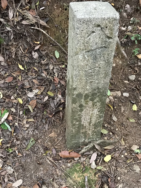 f:id:mistysonata:20190430070540j:plain f:id:mistysonata:20190430070540j:plain