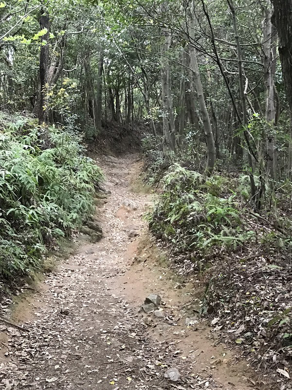 f:id:mistysonata:20190430070621j:plain f:id:mistysonata:20190430070621j:plain