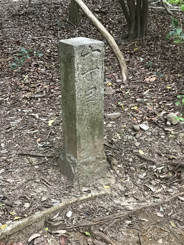 f:id:mistysonata:20190430070718j:plain f:id:mistysonata:20190430070718j:plain