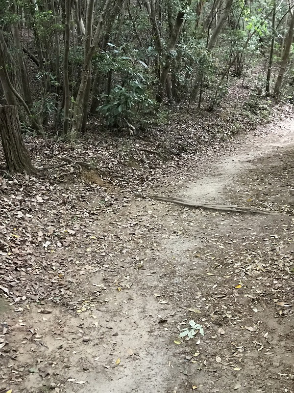 f:id:mistysonata:20190430070810j:plain f:id:mistysonata:20190430070810j:plain