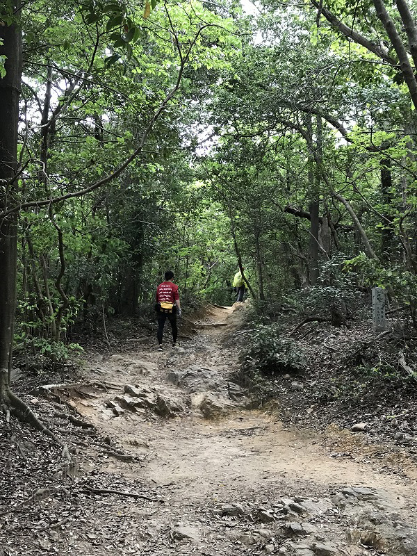 f:id:mistysonata:20190430071224j:plain f:id:mistysonata:20190430071224j:plain