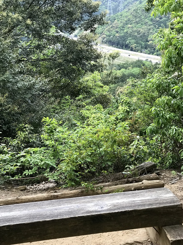 f:id:mistysonata:20190430071651j:plain f:id:mistysonata:20190430071651j:plain