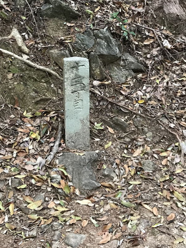 f:id:mistysonata:20190430072002j:plain f:id:mistysonata:20190430072002j:plain