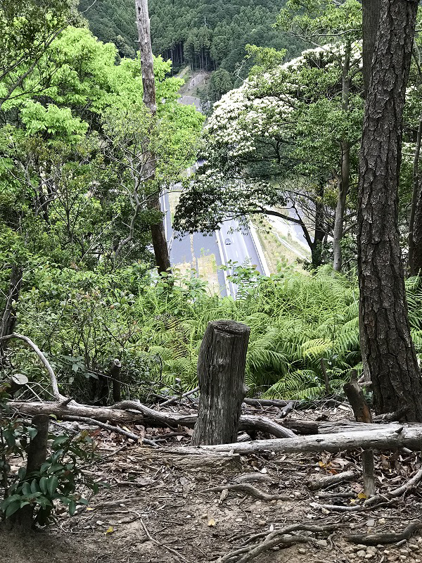 f:id:mistysonata:20190430072636j:plain f:id:mistysonata:20190430072636j:plain