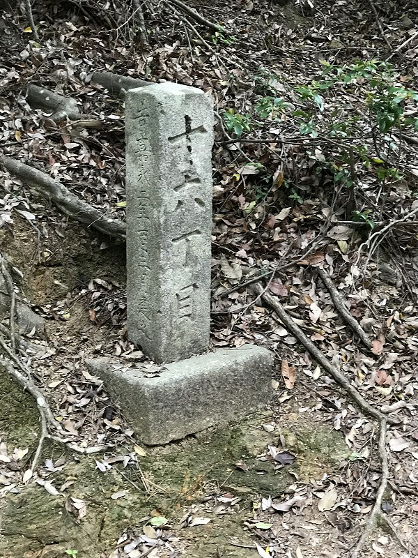 f:id:mistysonata:20190430072742j:plain f:id:mistysonata:20190430072742j:plain