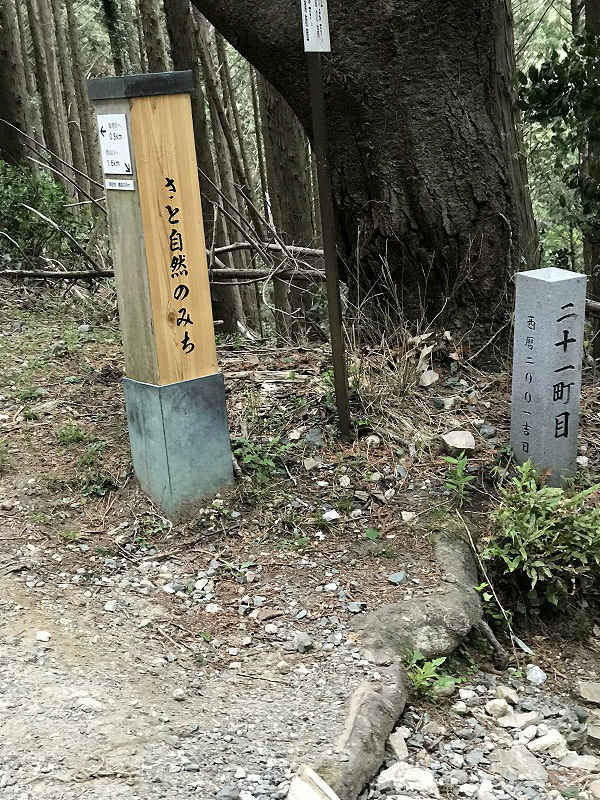 f:id:mistysonata:20190430072936j:plain f:id:mistysonata:20190430072936j:plain