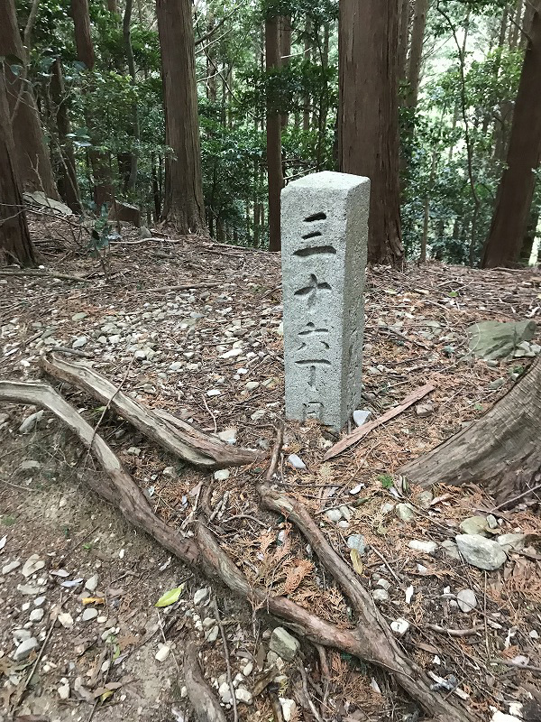 f:id:mistysonata:20190430074151j:plain f:id:mistysonata:20190430074151j:plain