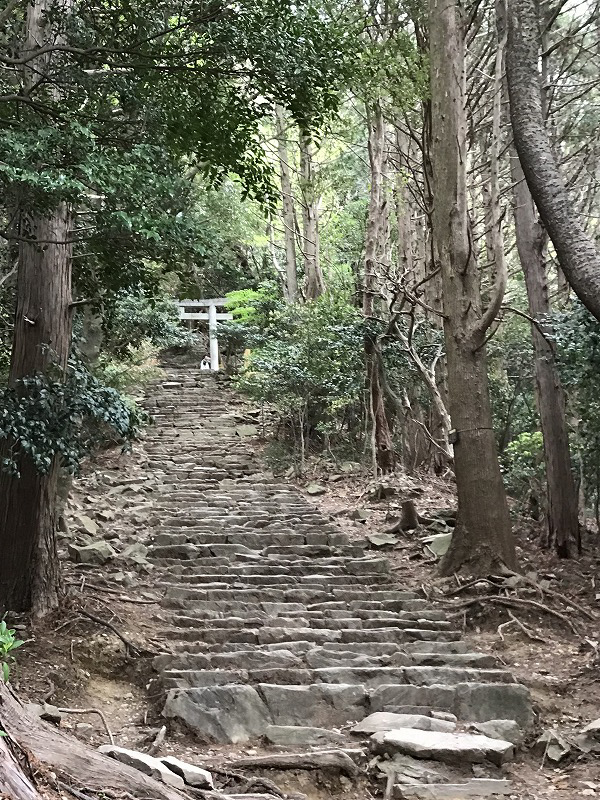 f:id:mistysonata:20190430074241j:plain f:id:mistysonata:20190430074241j:plain