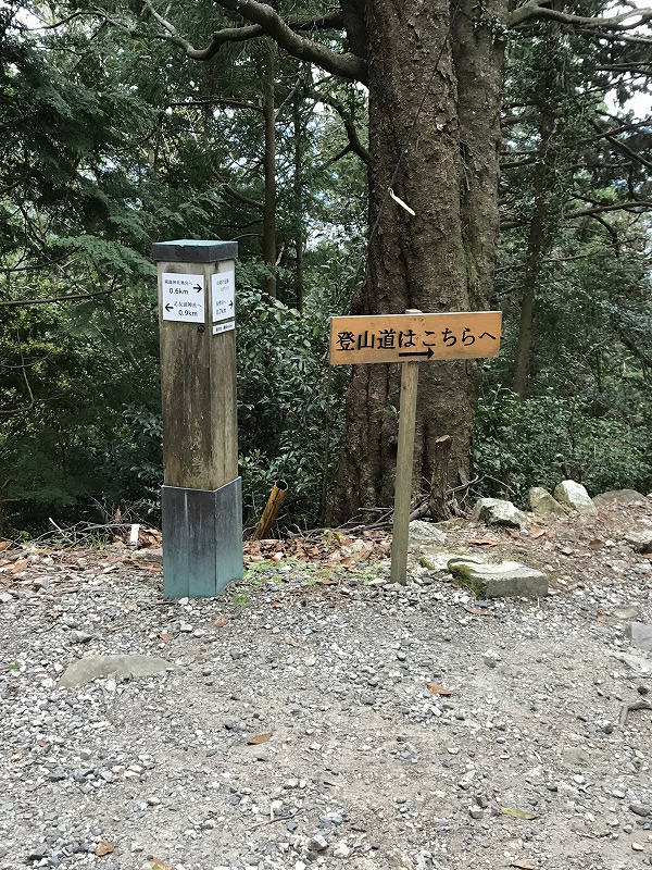 f:id:mistysonata:20190430074347j:plain f:id:mistysonata:20190430074347j:plain