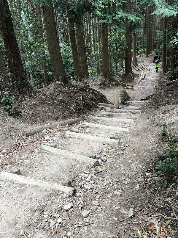 f:id:mistysonata:20190430075910j:plain f:id:mistysonata:20190430075910j:plain