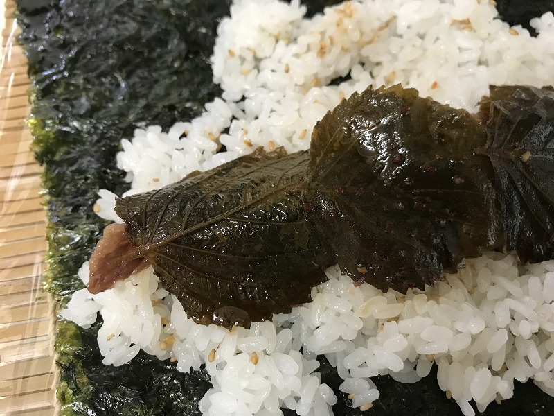 f:id:mistysonata:20190511181842j:plain